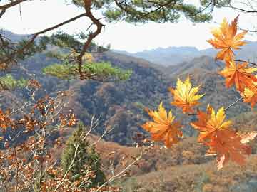 湖北钢厂停产最新消息